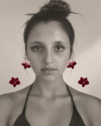 Orchidée