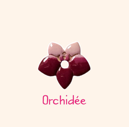 Orchidée