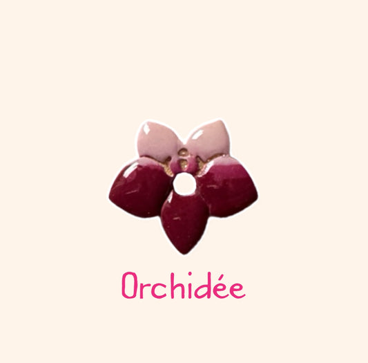 Orchidée