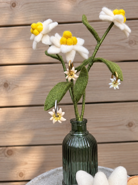 Edelweiss