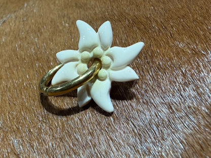 Edelweiss